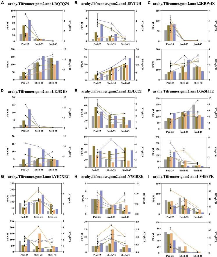 https://cdn.ncbi.nlm.nih.gov/pmc/blobs/3c4b/9511224/f4c0de9953d0/fpls-13-958808-g010.jpg