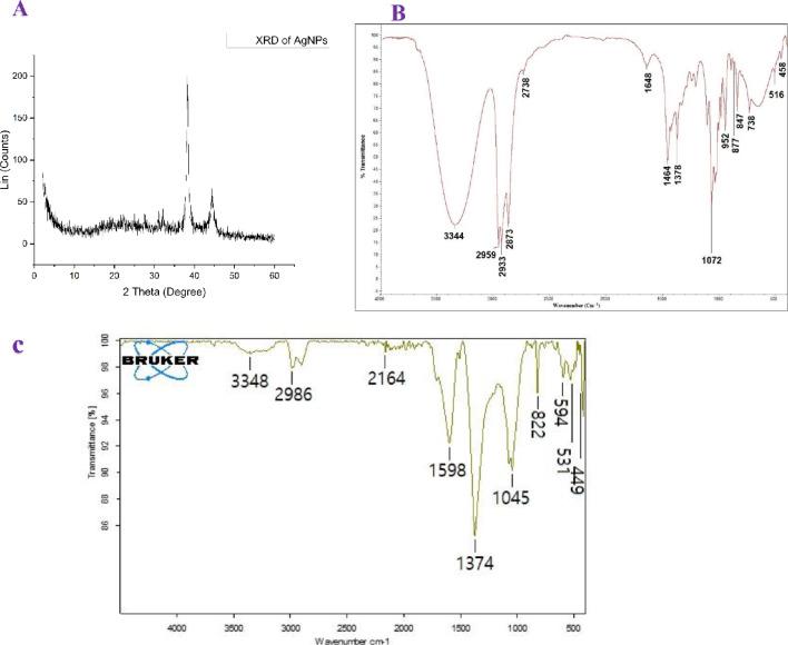 https://cdn.ncbi.nlm.nih.gov/pmc/blobs/3c4c/12077009/1ea059bfebca/12896_2025_971_Fig4_HTML.jpg