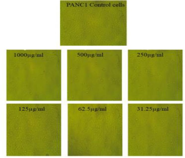 https://cdn.ncbi.nlm.nih.gov/pmc/blobs/3c4c/12077009/bfb0c4f337ac/12896_2025_971_Fig8_HTML.jpg