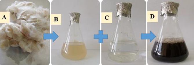 https://cdn.ncbi.nlm.nih.gov/pmc/blobs/3c4c/12077009/d519ae3d5518/12896_2025_971_Fig2_HTML.jpg