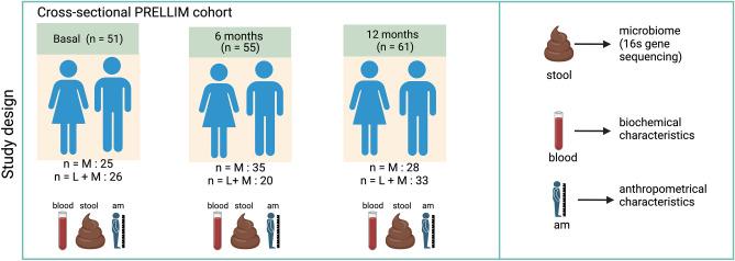 https://cdn.ncbi.nlm.nih.gov/pmc/blobs/3c4d/11055900/af20e0e98e67/41598_2024_60081_Fig1_HTML.jpg