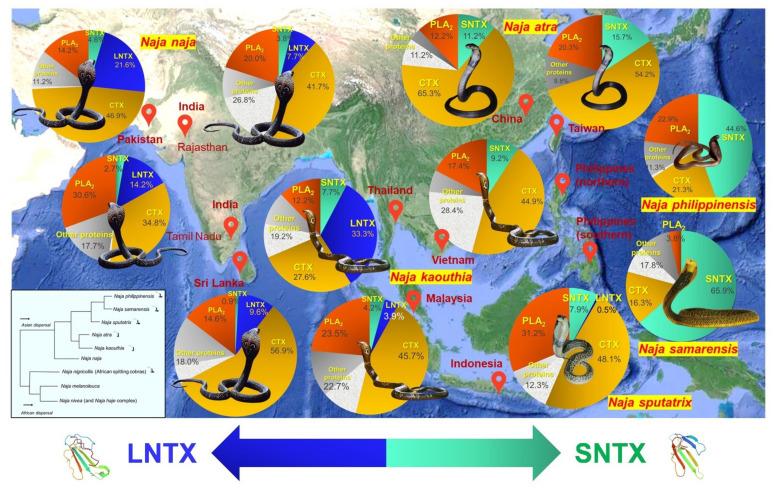 https://cdn.ncbi.nlm.nih.gov/pmc/blobs/3c53/9028316/526135ad9e73/toxins-14-00247-g003.jpg