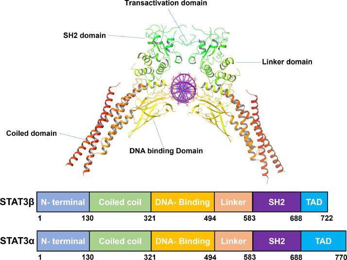 https://cdn.ncbi.nlm.nih.gov/pmc/blobs/3c55/11220551/9ca65c9c9d21/gr1.jpg