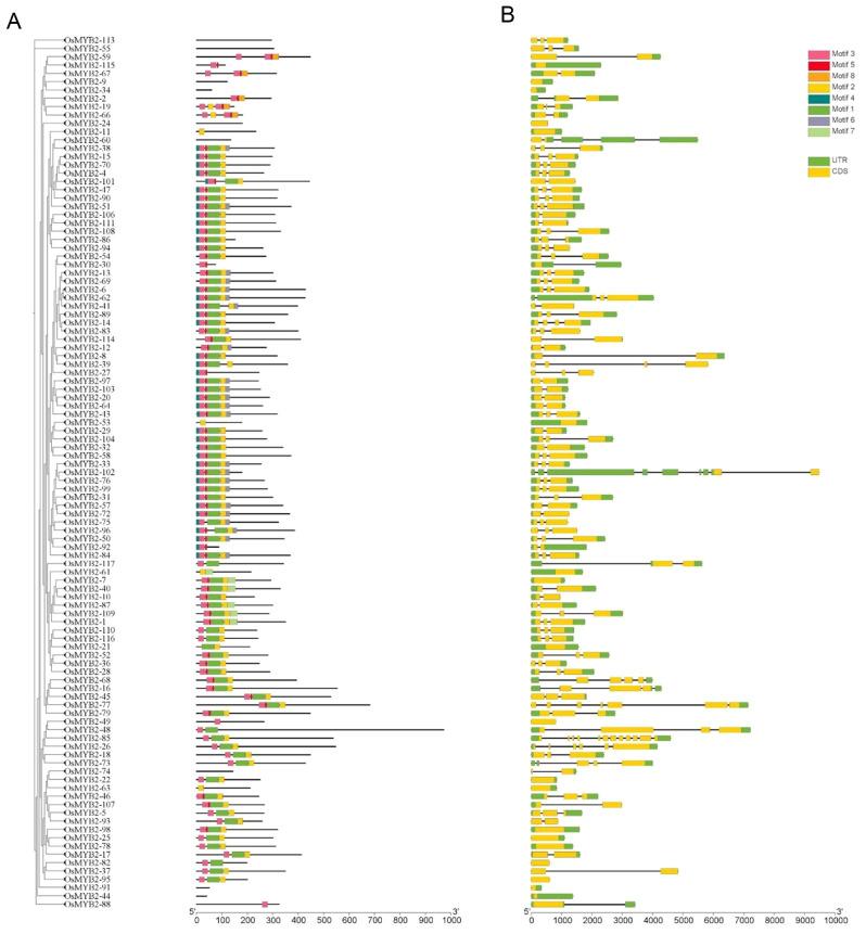https://cdn.ncbi.nlm.nih.gov/pmc/blobs/3c57/11342600/05e034644a13/12864_2024_10693_Fig2_HTML.jpg