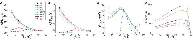 https://cdn.ncbi.nlm.nih.gov/pmc/blobs/3c57/8346027/485c040c4935/fphys-12-639149-g0004.jpg