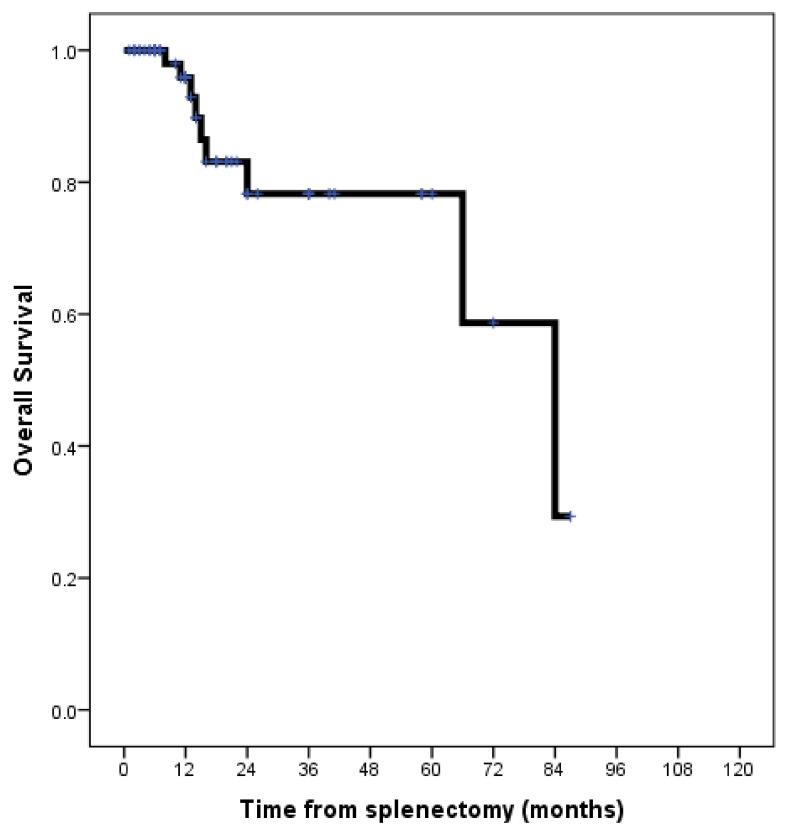 https://cdn.ncbi.nlm.nih.gov/pmc/blobs/3c58/11050850/397b60b5f128/jcm-13-02362-g001.jpg