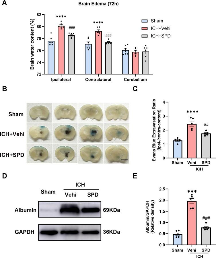 https://cdn.ncbi.nlm.nih.gov/pmc/blobs/3c58/12153962/9b2e0a65fa76/JIR-18-7401-g0006.jpg