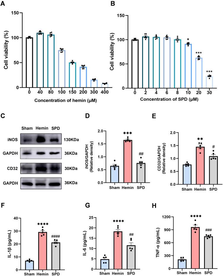 https://cdn.ncbi.nlm.nih.gov/pmc/blobs/3c58/12153962/bf9a2acf801d/JIR-18-7401-g0004.jpg
