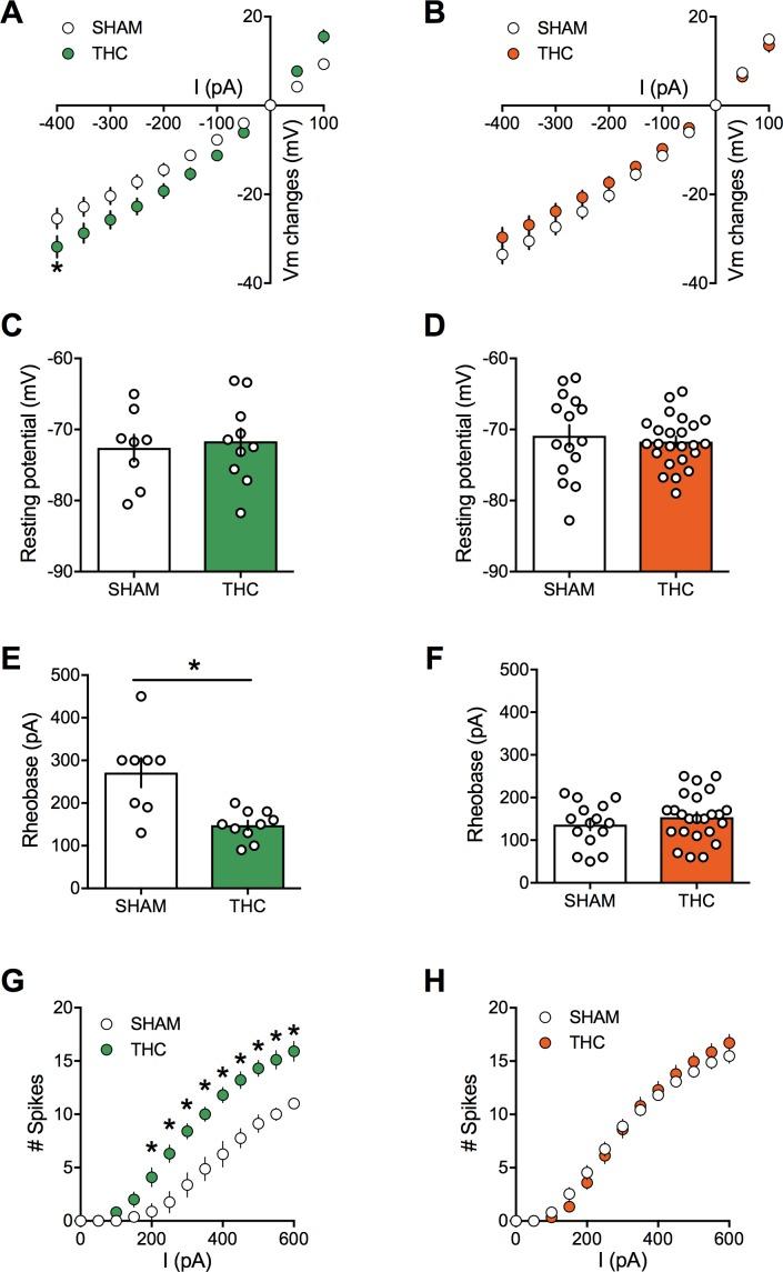 https://cdn.ncbi.nlm.nih.gov/pmc/blobs/3c5a/6162091/70d4653b7742/elife-36234-fig7.jpg