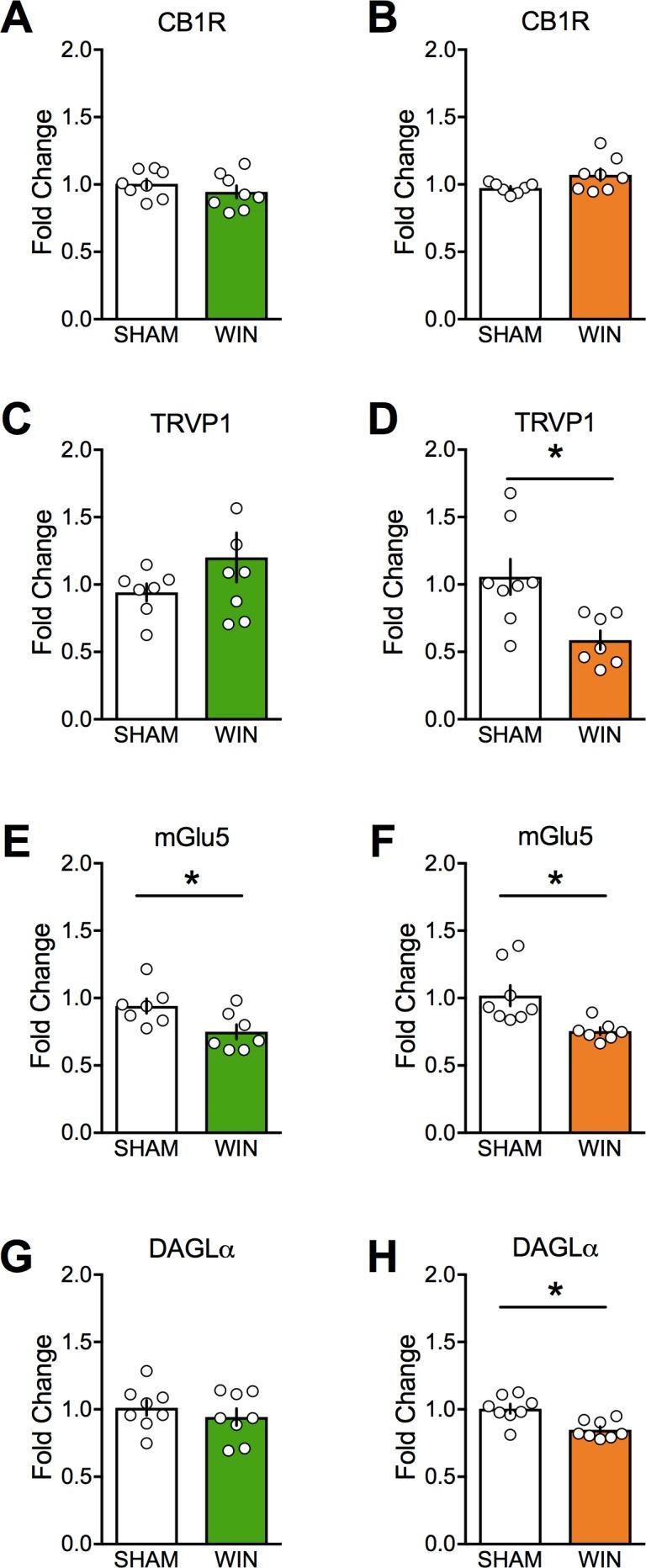 https://cdn.ncbi.nlm.nih.gov/pmc/blobs/3c5a/6162091/73af318c8872/elife-36234-fig8.jpg