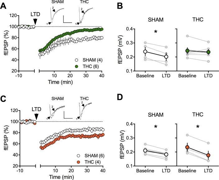 https://cdn.ncbi.nlm.nih.gov/pmc/blobs/3c5a/6162091/75cea60a6193/elife-36234-fig5.jpg