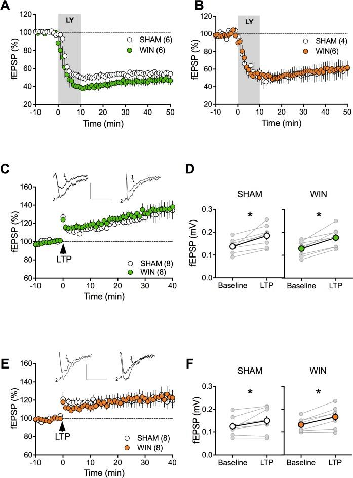 https://cdn.ncbi.nlm.nih.gov/pmc/blobs/3c5a/6162091/a2ab7b6640f3/elife-36234-fig4-figsupp1.jpg