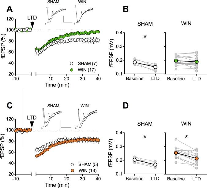 https://cdn.ncbi.nlm.nih.gov/pmc/blobs/3c5a/6162091/d4f70cb98d87/elife-36234-fig4.jpg