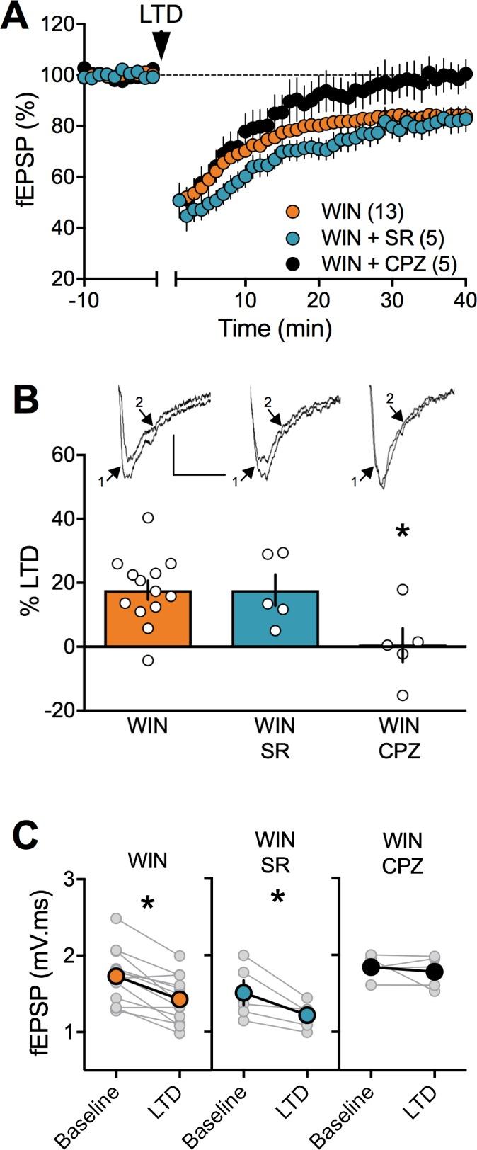 https://cdn.ncbi.nlm.nih.gov/pmc/blobs/3c5a/6162091/dda59ca07675/elife-36234-fig10.jpg