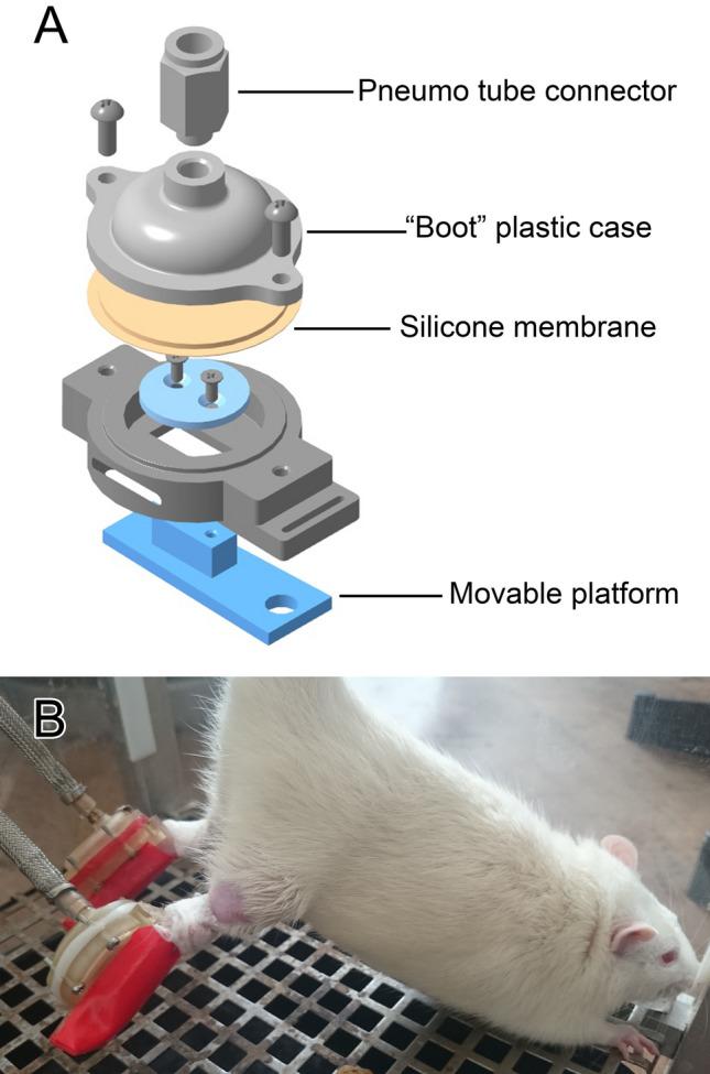 https://cdn.ncbi.nlm.nih.gov/pmc/blobs/3c5a/8105341/01429f04d265/41598_2021_89362_Fig1_HTML.jpg