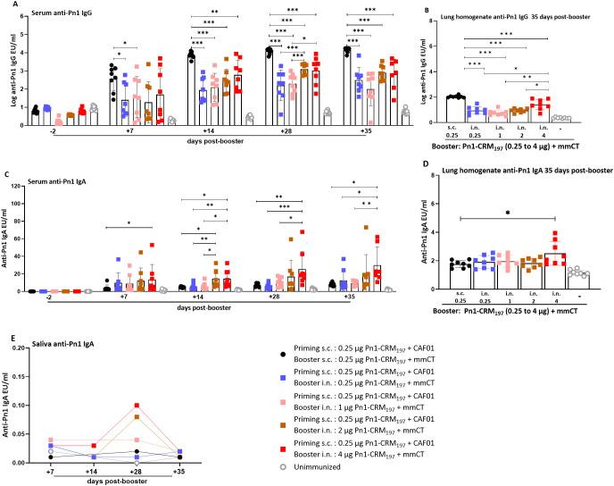 https://cdn.ncbi.nlm.nih.gov/pmc/blobs/3c5b/12367788/4390b0e0bcd2/fimmu-16-1563345-g005.jpg