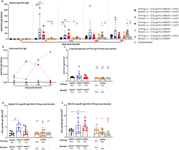 https://cdn.ncbi.nlm.nih.gov/pmc/blobs/3c5b/12367788/ea03edbd4810/fimmu-16-1563345-g002.jpg