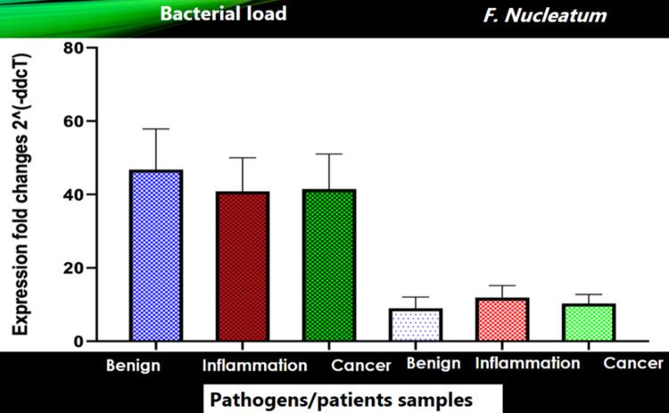 https://cdn.ncbi.nlm.nih.gov/pmc/blobs/3c5b/8492166/312013b9dc32/cureus-0013-00000017742-i03.jpg
