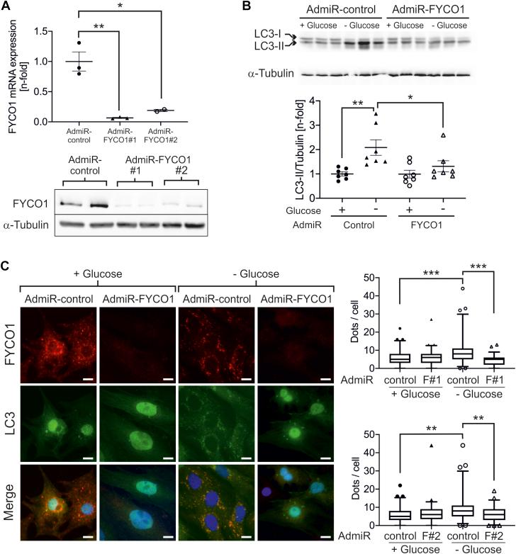 https://cdn.ncbi.nlm.nih.gov/pmc/blobs/3c5d/8093479/1703575b275f/gr2.jpg