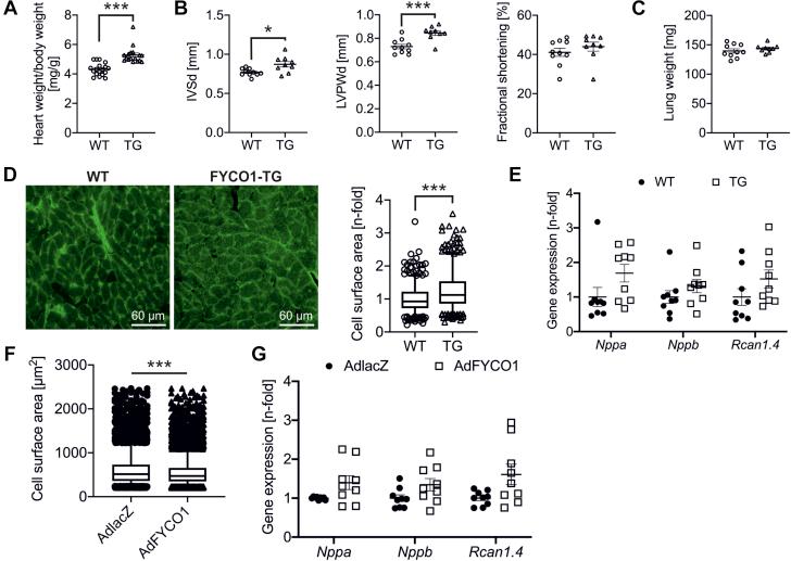 https://cdn.ncbi.nlm.nih.gov/pmc/blobs/3c5d/8093479/2d3d1171935e/gr5.jpg