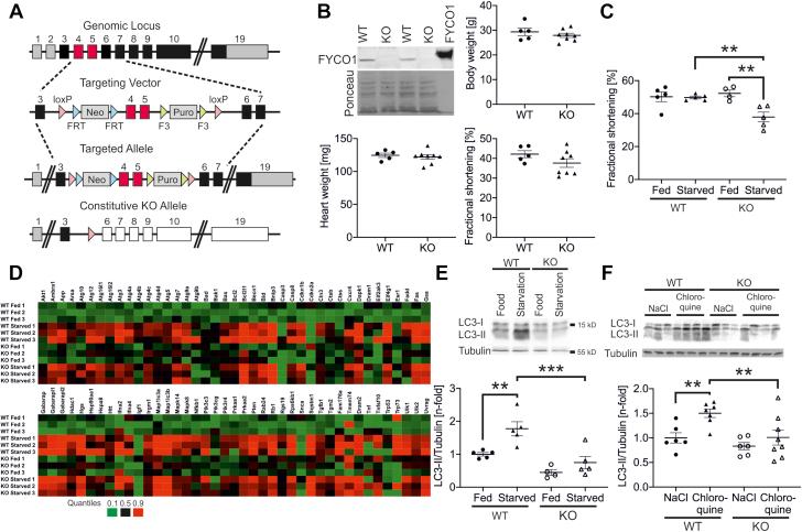 https://cdn.ncbi.nlm.nih.gov/pmc/blobs/3c5d/8093479/53e7f923757d/gr3.jpg