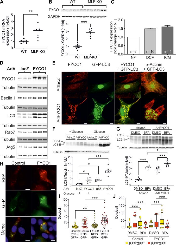 https://cdn.ncbi.nlm.nih.gov/pmc/blobs/3c5d/8093479/dc8edba468c7/gr1.jpg