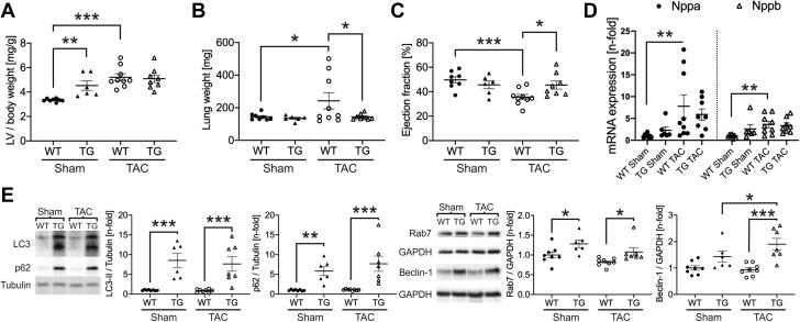 https://cdn.ncbi.nlm.nih.gov/pmc/blobs/3c5d/8093479/f91df1b78019/gr7.jpg