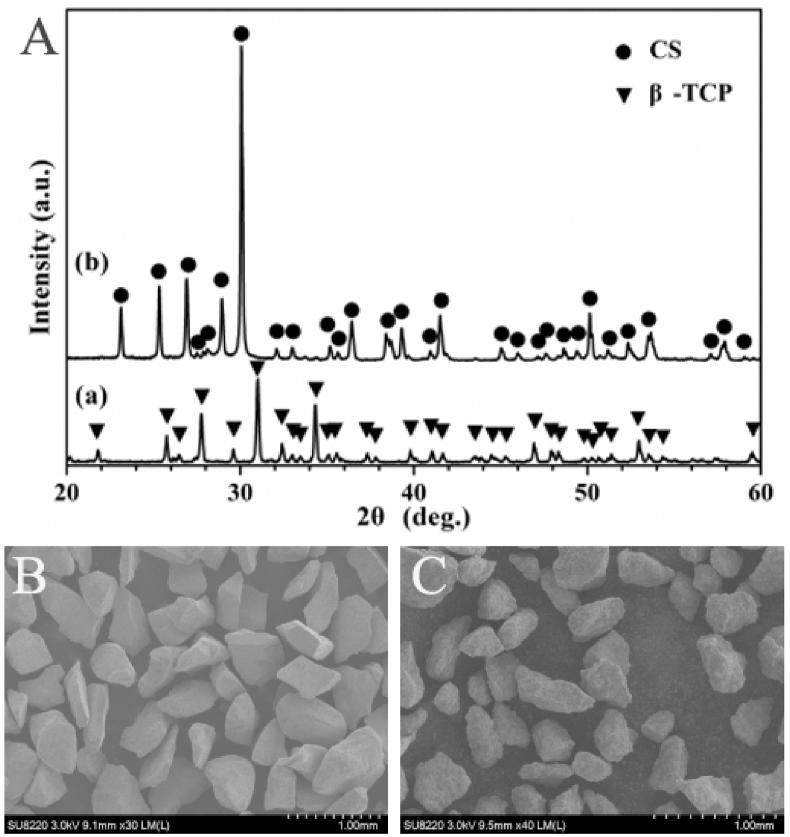 https://cdn.ncbi.nlm.nih.gov/pmc/blobs/3c63/7528055/c54cf47e771c/gr1.jpg