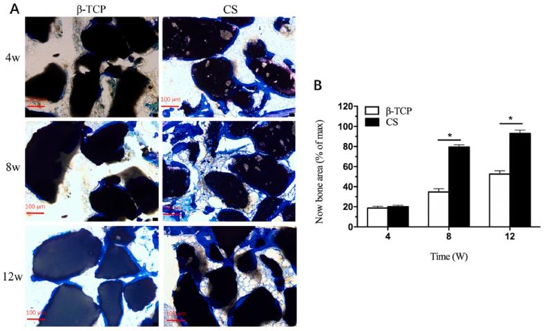 https://cdn.ncbi.nlm.nih.gov/pmc/blobs/3c63/7528055/c87a80b44b7c/gr10.jpg