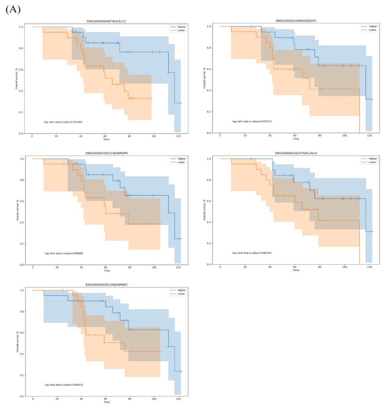 https://cdn.ncbi.nlm.nih.gov/pmc/blobs/3c64/7693837/a53042a56577/genes-11-01300-g006a.jpg