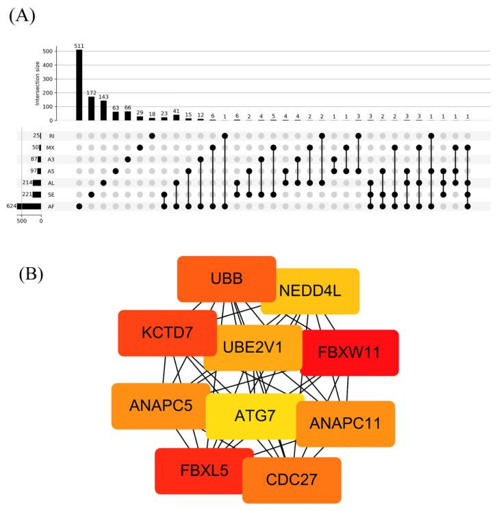 https://cdn.ncbi.nlm.nih.gov/pmc/blobs/3c64/7693837/a98c6e7edba6/genes-11-01300-g004.jpg