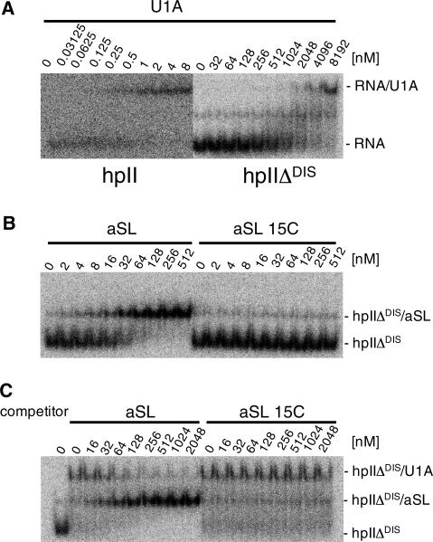 https://cdn.ncbi.nlm.nih.gov/pmc/blobs/3c65/2879510/c6651c75523a/gkq027f7.jpg