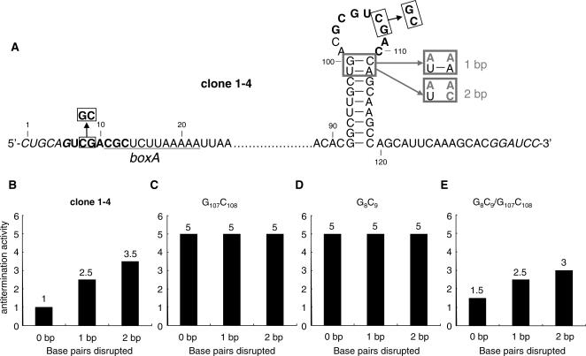 https://cdn.ncbi.nlm.nih.gov/pmc/blobs/3c65/2879510/de771e593ed3/gkq027f4.jpg