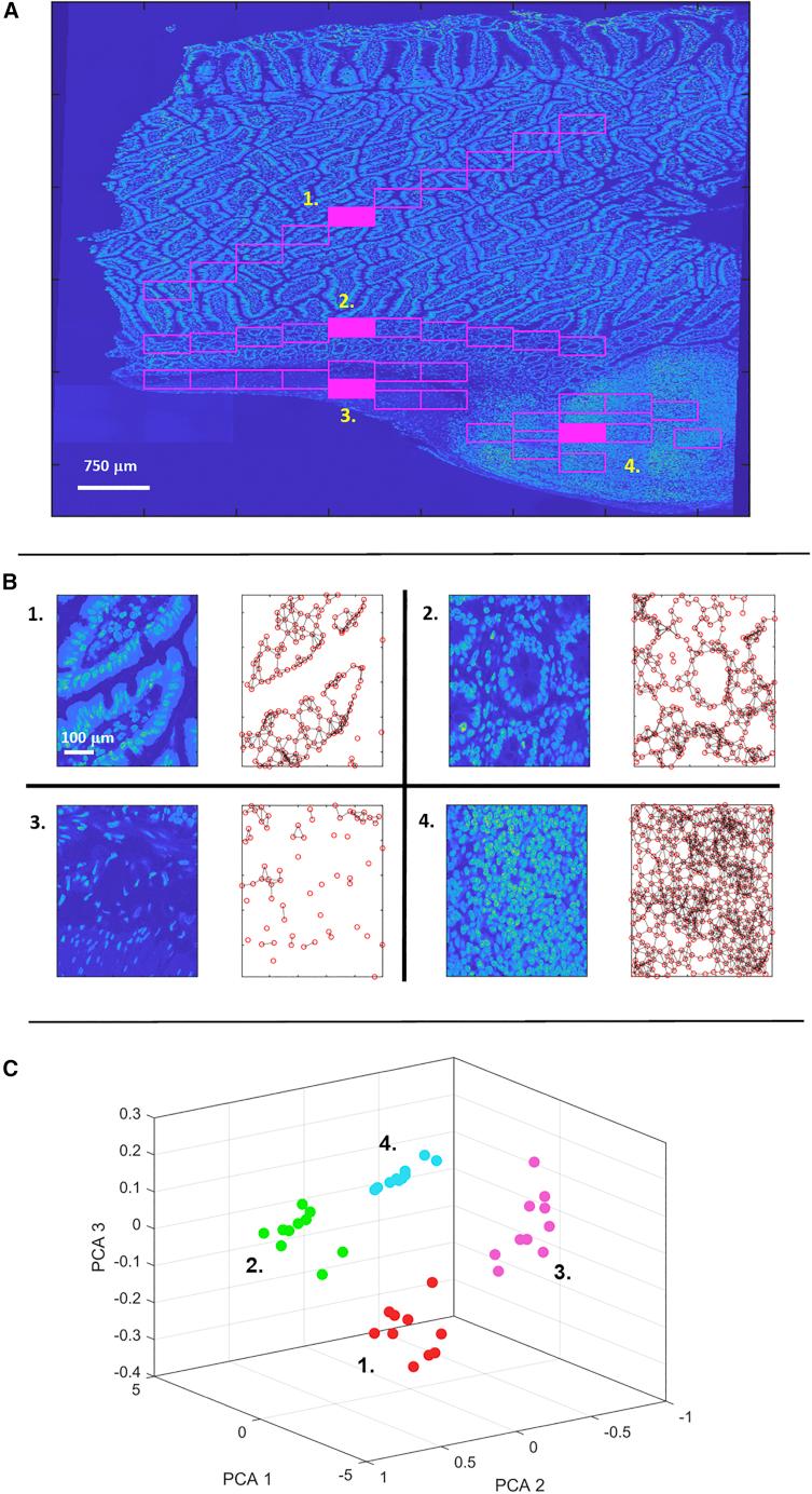 https://cdn.ncbi.nlm.nih.gov/pmc/blobs/3c65/9701617/3e35ba37bc90/gr3.jpg