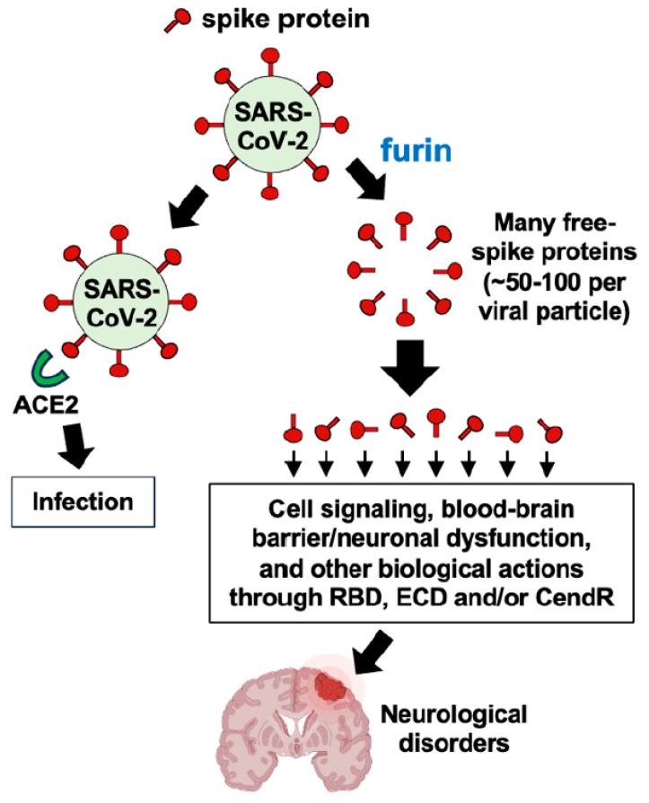 https://cdn.ncbi.nlm.nih.gov/pmc/blobs/3c66/10890058/8e08e9920466/life-14-00279-g005.jpg