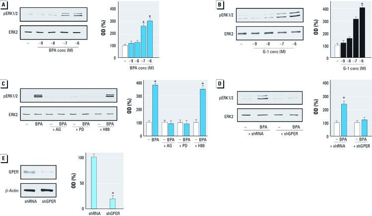 https://cdn.ncbi.nlm.nih.gov/pmc/blobs/3c67/3440081/662e2721a542/ehp.1104526.g001.jpg