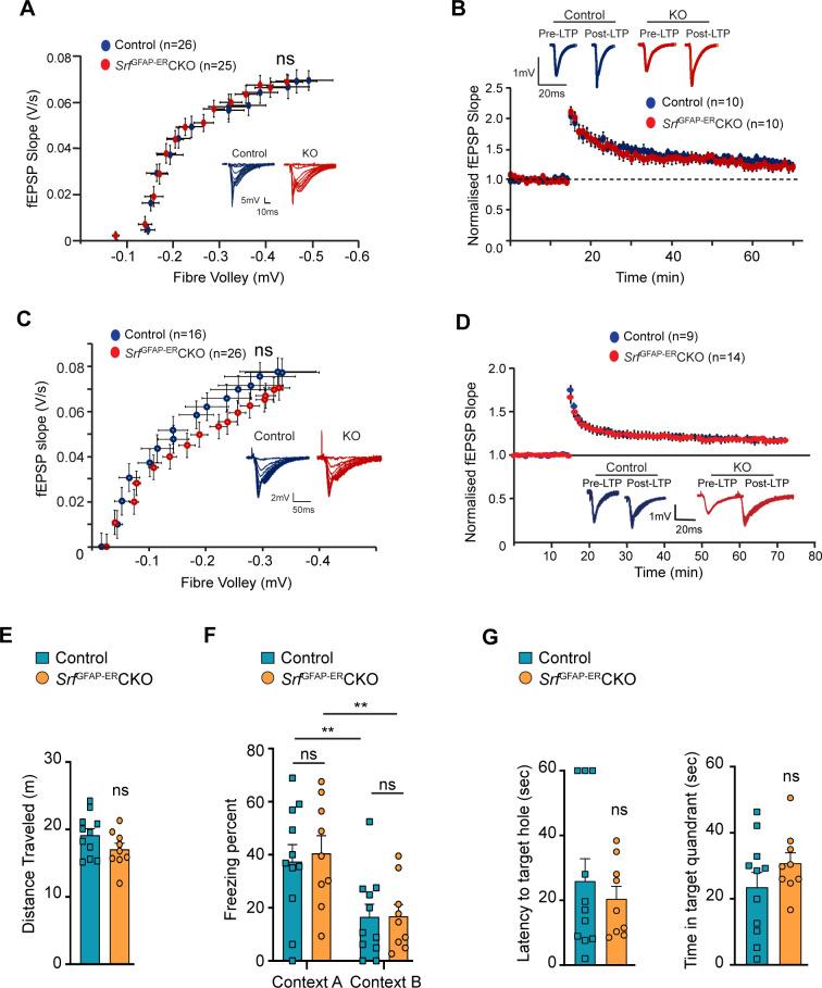 https://cdn.ncbi.nlm.nih.gov/pmc/blobs/3c69/10857791/162d6f405658/elife-95577-fig4.jpg