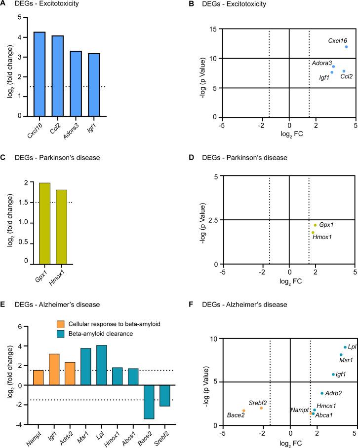 https://cdn.ncbi.nlm.nih.gov/pmc/blobs/3c69/10857791/89dc393a1ba8/elife-95577-fig5-figsupp1.jpg