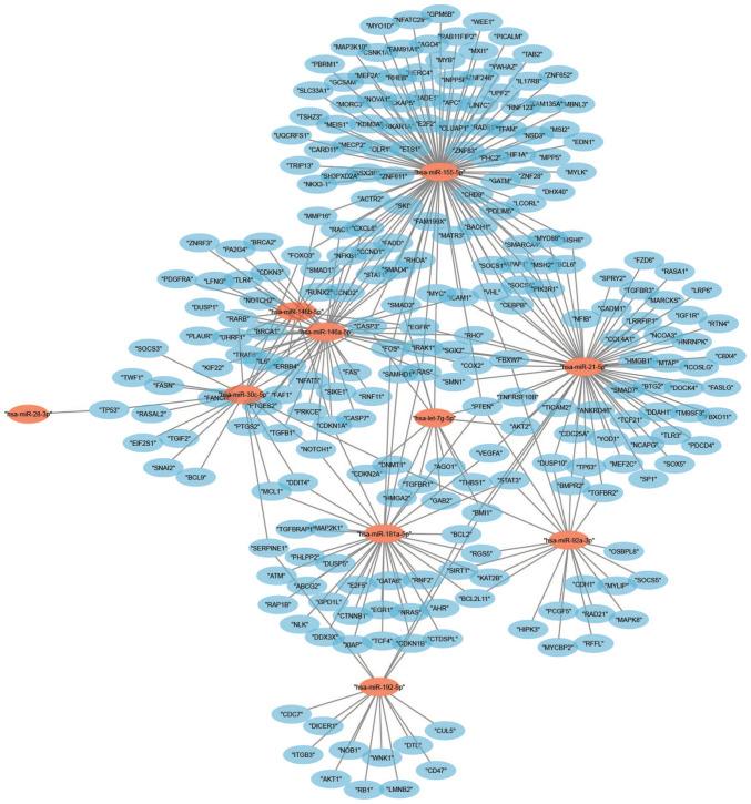 https://cdn.ncbi.nlm.nih.gov/pmc/blobs/3c6a/10119669/988dbc0d9820/br-18-05-01617-g02.jpg
