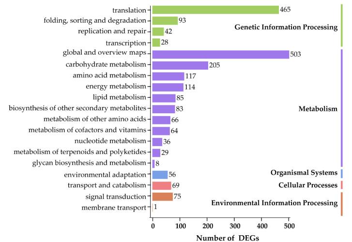 https://cdn.ncbi.nlm.nih.gov/pmc/blobs/3c6f/7356597/9be472f98242/biomolecules-10-00967-g004.jpg