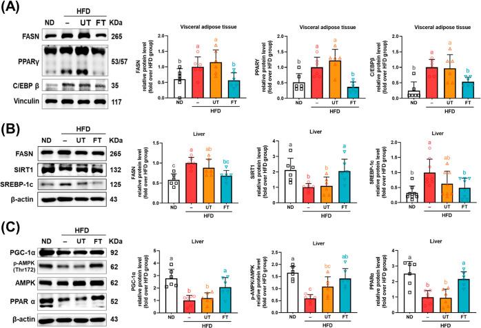https://cdn.ncbi.nlm.nih.gov/pmc/blobs/3c71/11328170/233f55c1b49b/jf4c01501_0003.jpg