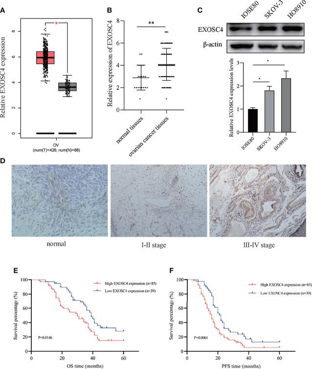https://cdn.ncbi.nlm.nih.gov/pmc/blobs/3c71/8692763/9dd001a7ffb0/fonc-11-797968-g001.jpg
