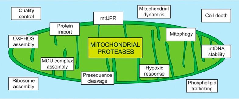https://cdn.ncbi.nlm.nih.gov/pmc/blobs/3c72/5835776/0218e847bb99/cr201817f1.jpg