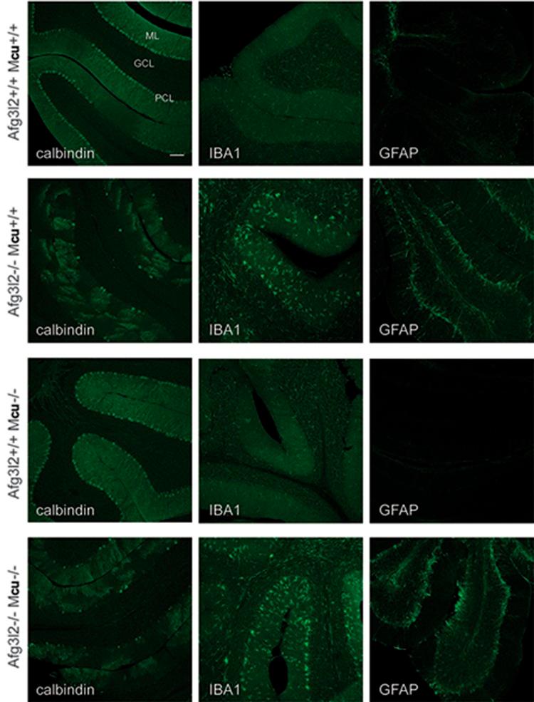 https://cdn.ncbi.nlm.nih.gov/pmc/blobs/3c72/5835776/64054ec97fd2/cr201817f3.jpg