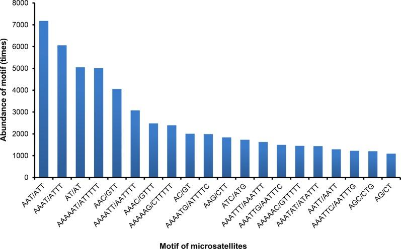 https://cdn.ncbi.nlm.nih.gov/pmc/blobs/3c74/7014596/6267173c15c0/13071_2020_3929_Fig3_HTML.jpg