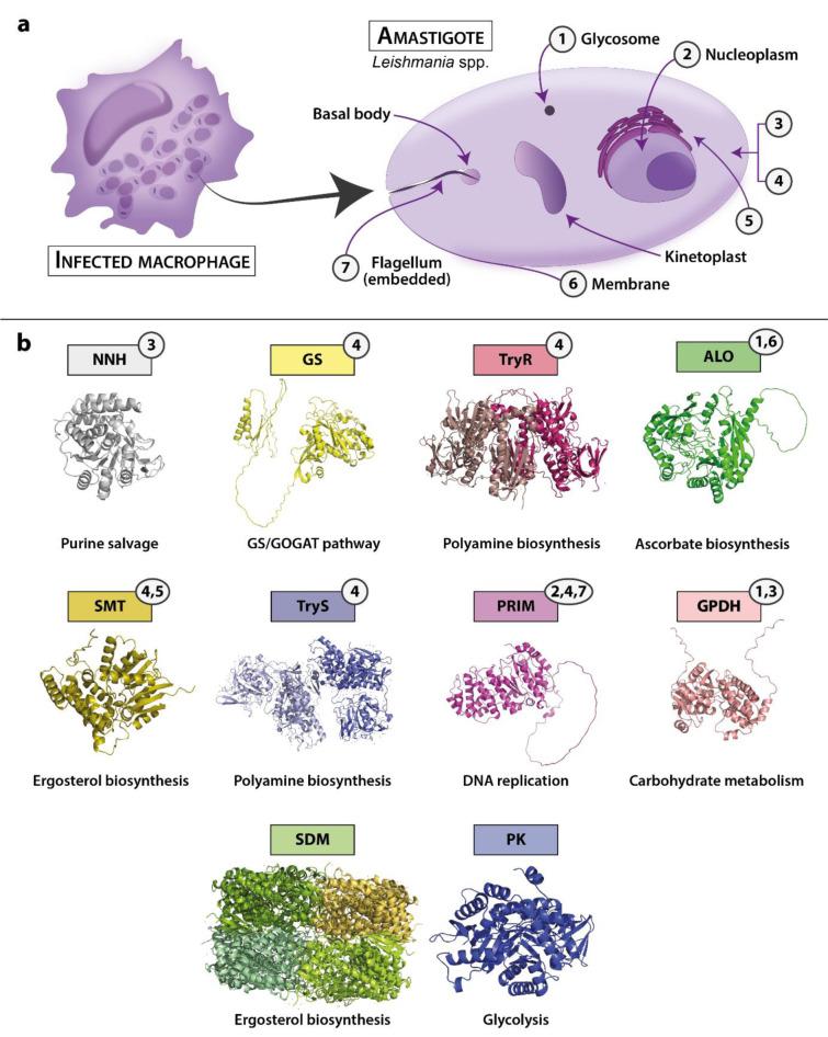 https://cdn.ncbi.nlm.nih.gov/pmc/blobs/3c77/11484518/40817f1faf94/EXCLI-23-1117-g-006.jpg