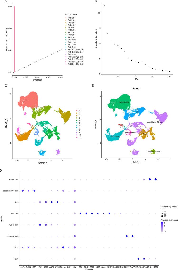 https://cdn.ncbi.nlm.nih.gov/pmc/blobs/3c77/12087067/47e0dceed6d9/13018_2025_5716_Fig5_HTML.jpg