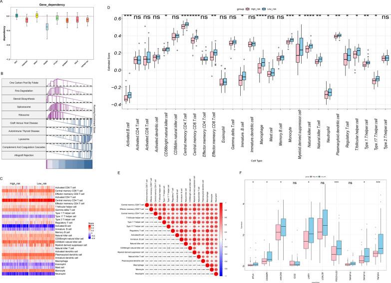 https://cdn.ncbi.nlm.nih.gov/pmc/blobs/3c77/12087067/4a28351e6970/13018_2025_5716_Fig4_HTML.jpg