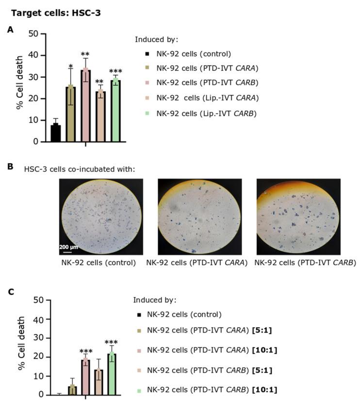 https://cdn.ncbi.nlm.nih.gov/pmc/blobs/3c77/9687928/15aa2befa9b7/biomedicines-10-02885-g007.jpg