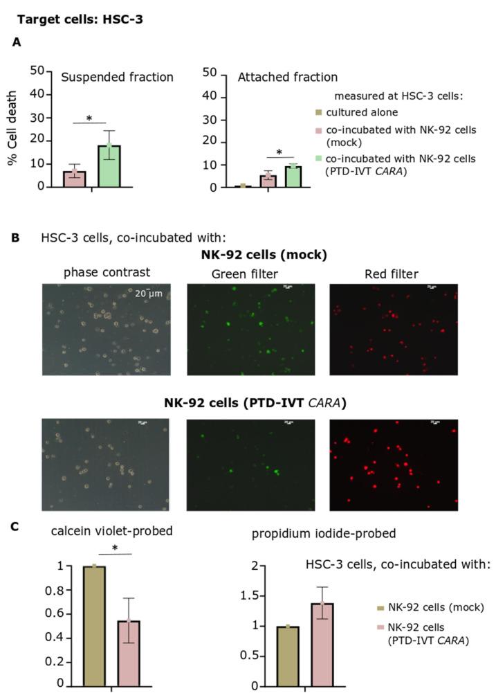 https://cdn.ncbi.nlm.nih.gov/pmc/blobs/3c77/9687928/f12b8cd4c375/biomedicines-10-02885-g008.jpg